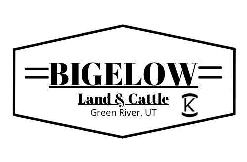 Bigelow Beef 